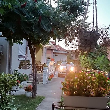 Apartman "Dom Stankovica" Pirot Exterior photo