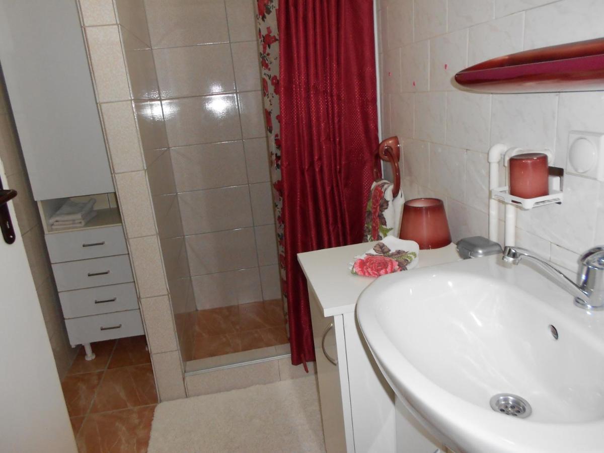 Apartman "Dom Stankovica" Pirot Exterior photo