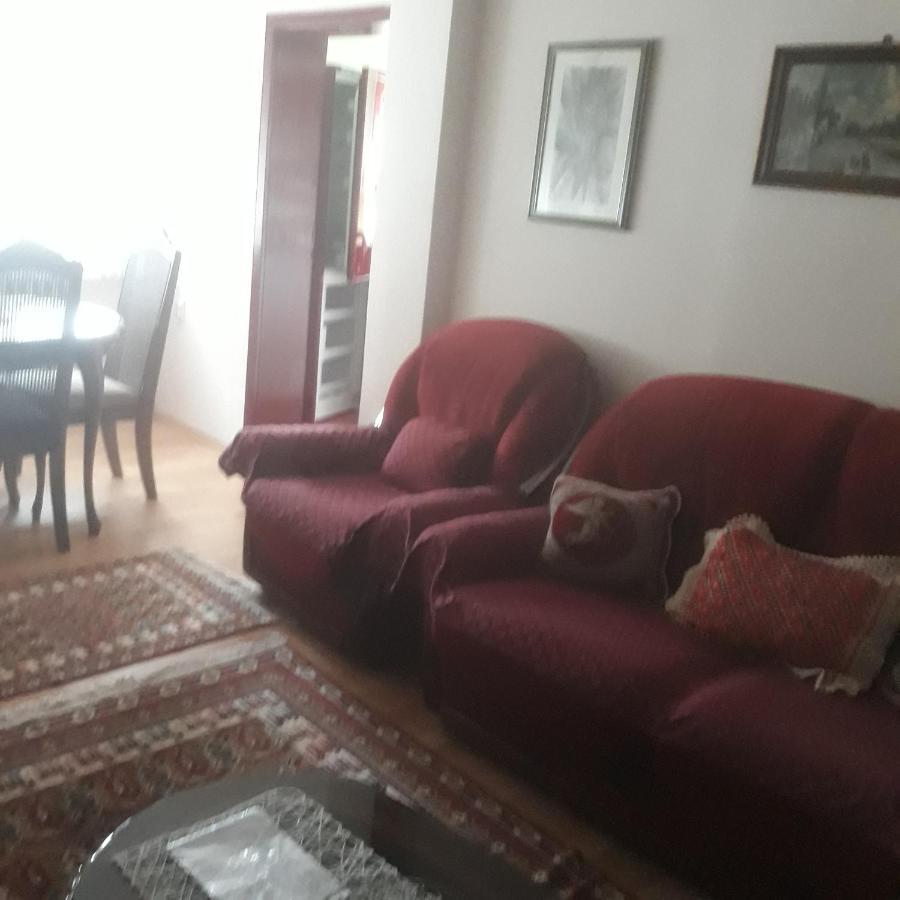 Apartman "Dom Stankovica" Pirot Exterior photo