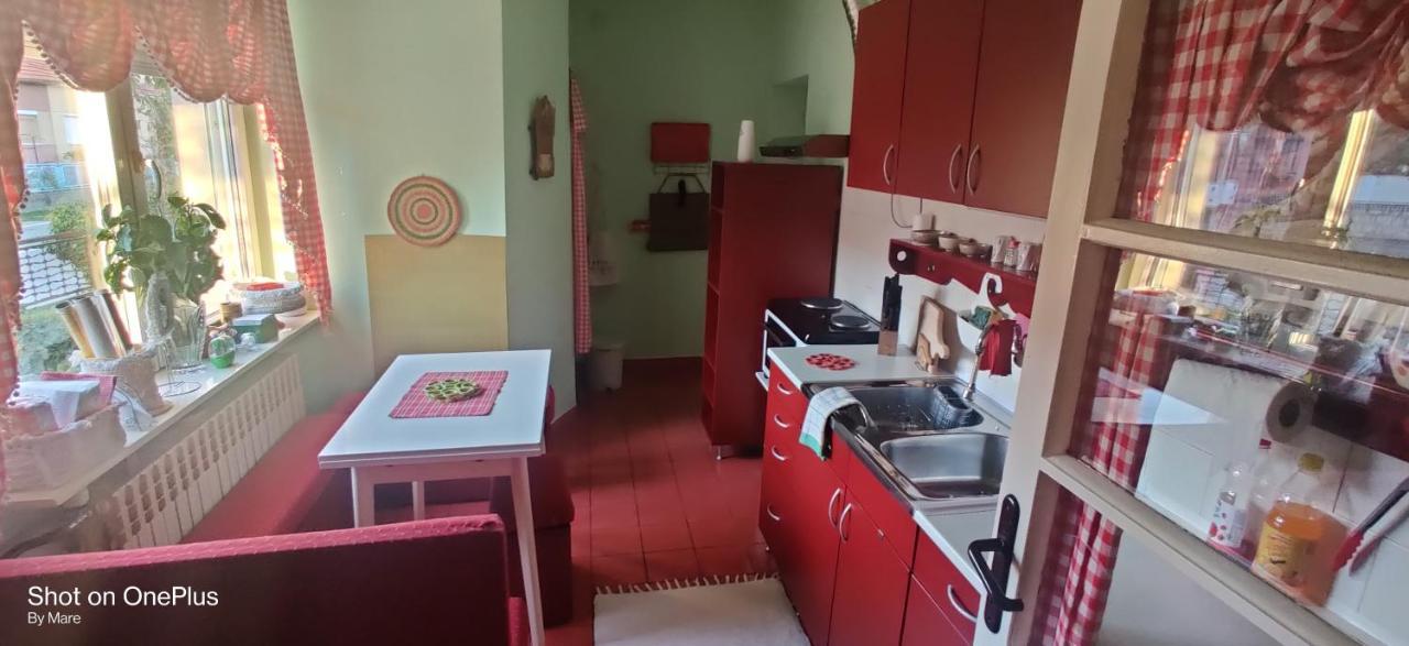 Apartman "Dom Stankovica" Pirot Exterior photo
