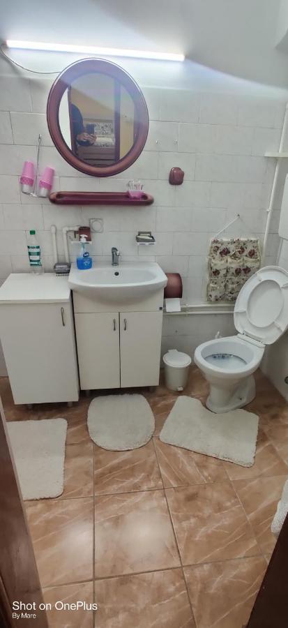 Apartman "Dom Stankovica" Pirot Exterior photo