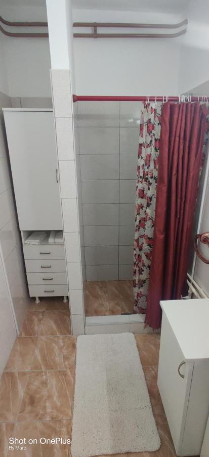 Apartman "Dom Stankovica" Pirot Exterior photo